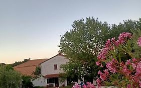 Agriturismo La Locandiera