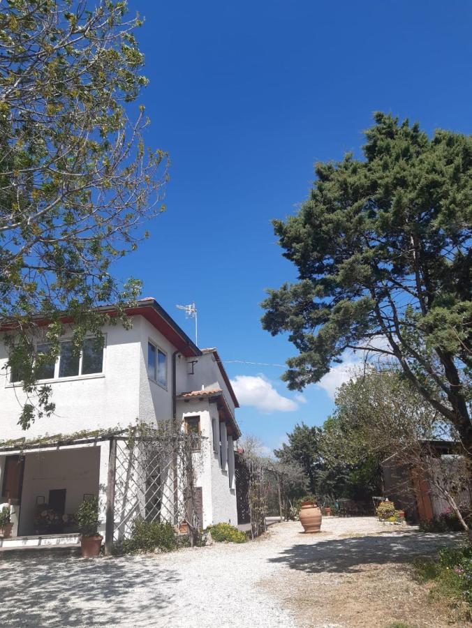 Agriturismo La Locandiera Montemerano Zewnętrze zdjęcie