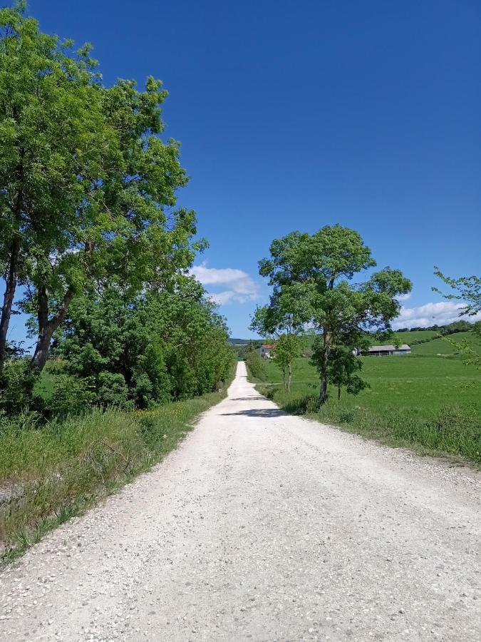 Agriturismo La Locandiera Montemerano Zewnętrze zdjęcie