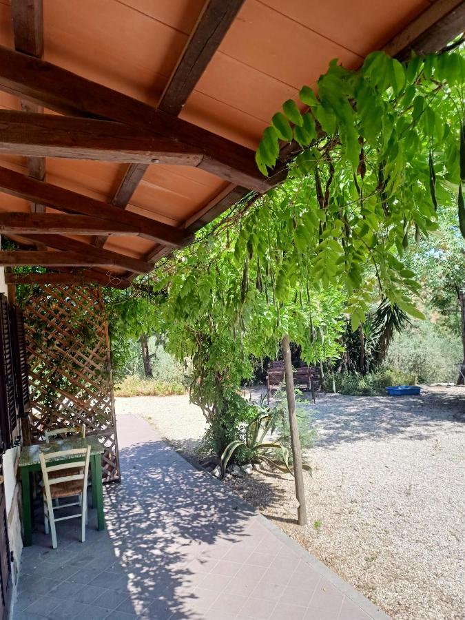 Agriturismo La Locandiera Montemerano Zewnętrze zdjęcie