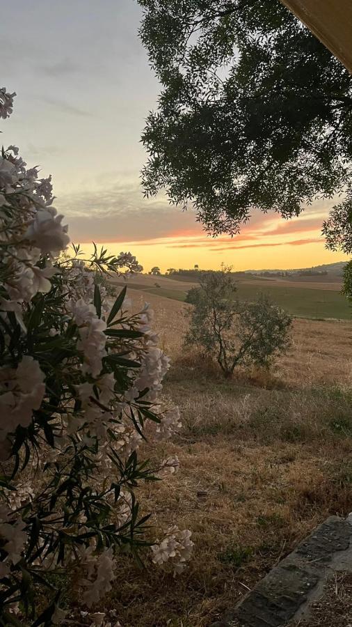 Agriturismo La Locandiera Montemerano Zewnętrze zdjęcie