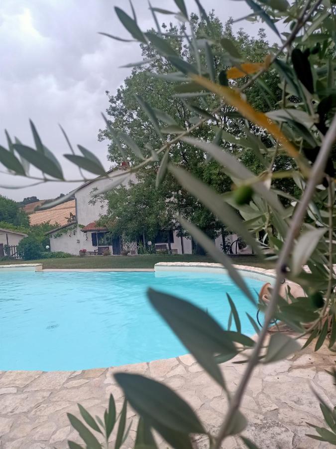 Agriturismo La Locandiera Montemerano Zewnętrze zdjęcie