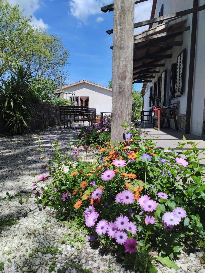 Agriturismo La Locandiera Montemerano Zewnętrze zdjęcie